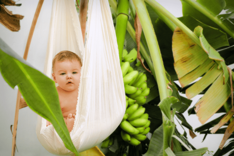 ערסל לתינוקות - כל היתרונות להרגיע תינוק בשיטת הערסול ולמה היא כל כך מרגיעה?